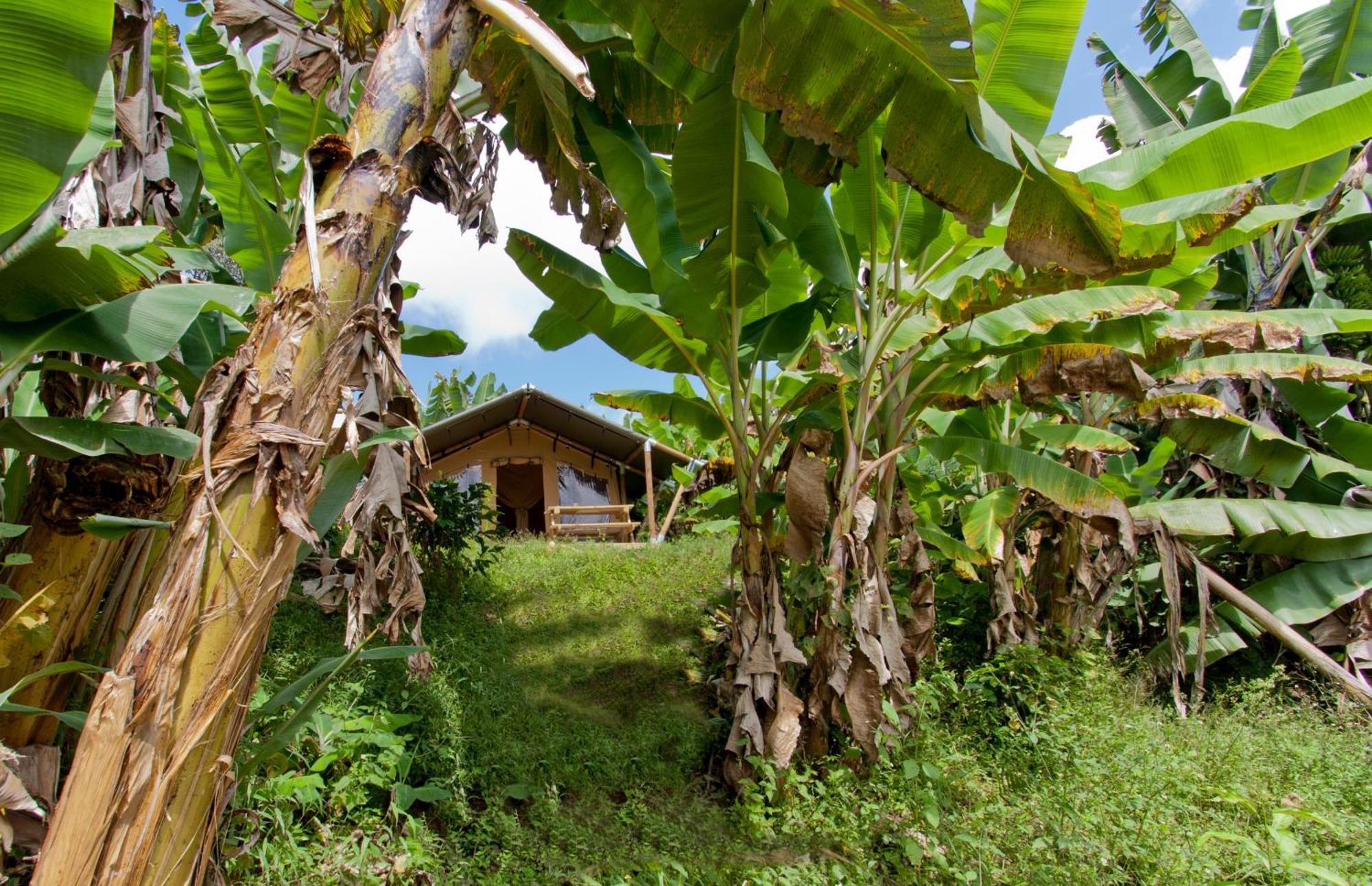 Glamping Jardin Hotel Eksteriør billede